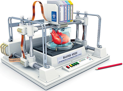 Через какие-то 15 лет 3D-принтер, заправленный «чернилами» из человеческих клеток, начнет печатать запасные органы