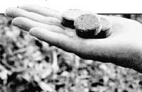 ПРОКЛЯТЫЕ ТАБЛЕТКИ: убили четверых