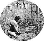 МАТЬ: каждый день посещает могилу любимого сына