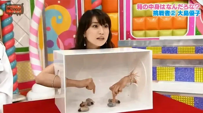 What is in the box