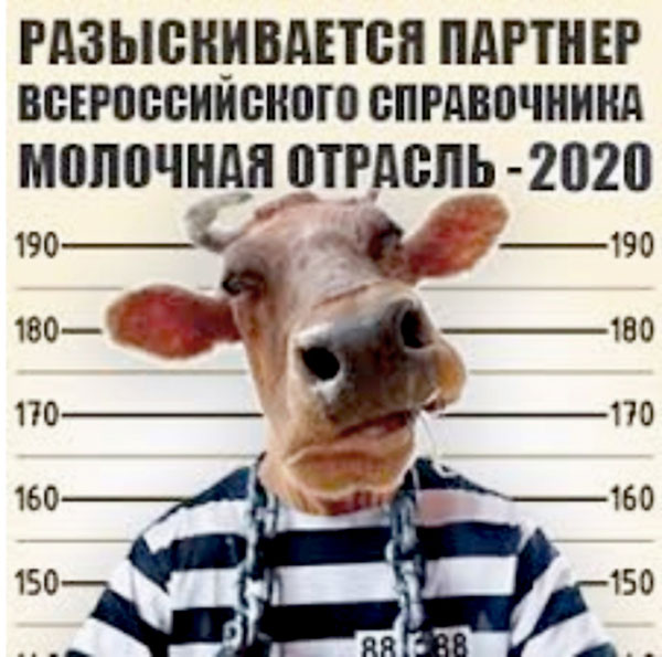 Ироничное фото спровоцировало нешуточный конфликт