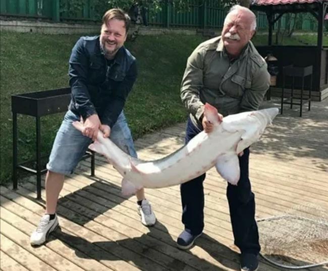 «Леонид