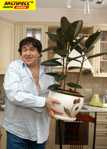 СТАС САДАЛЬСКИЙ