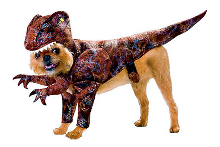 При виде маленького терьера в костюме раптора подожмет хвост даже питбуль