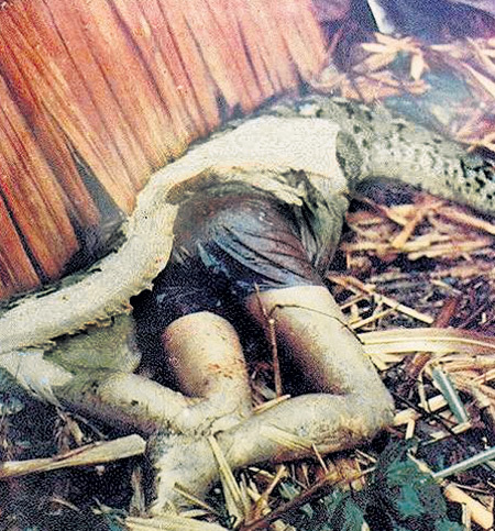 У десятилетнего мальчика из Южной Африки была жуткая смерть