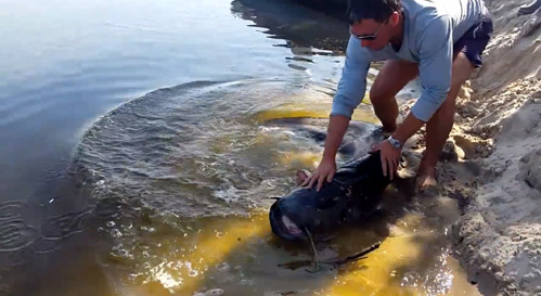 Фото: Youtube.com