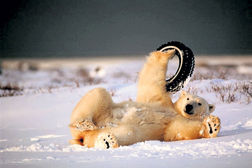 - Продаю резину. Б/у. Недорого!