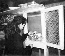 ПОДАРОК ДРУГА: кролики - это не только ценный мех...