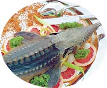 ОСЕТР: размерами порадовал знаменитостей