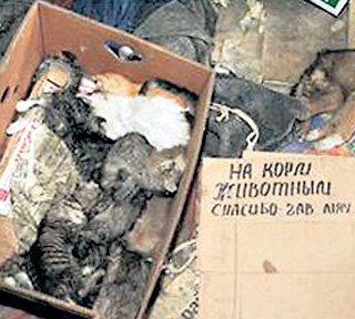 Жалостливые таблички выжимали из прохожих слезу и деньги
